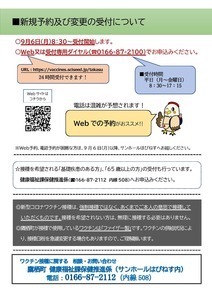 チラシ
