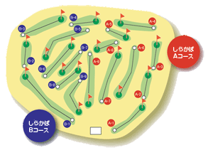 しらかばコース
