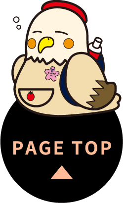 PAGE TOP