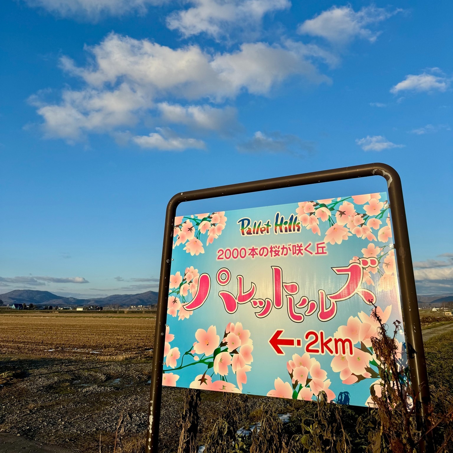 インスタ画像2の画像