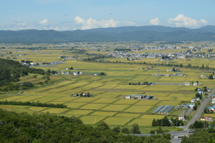 鷹栖町を知るの画像