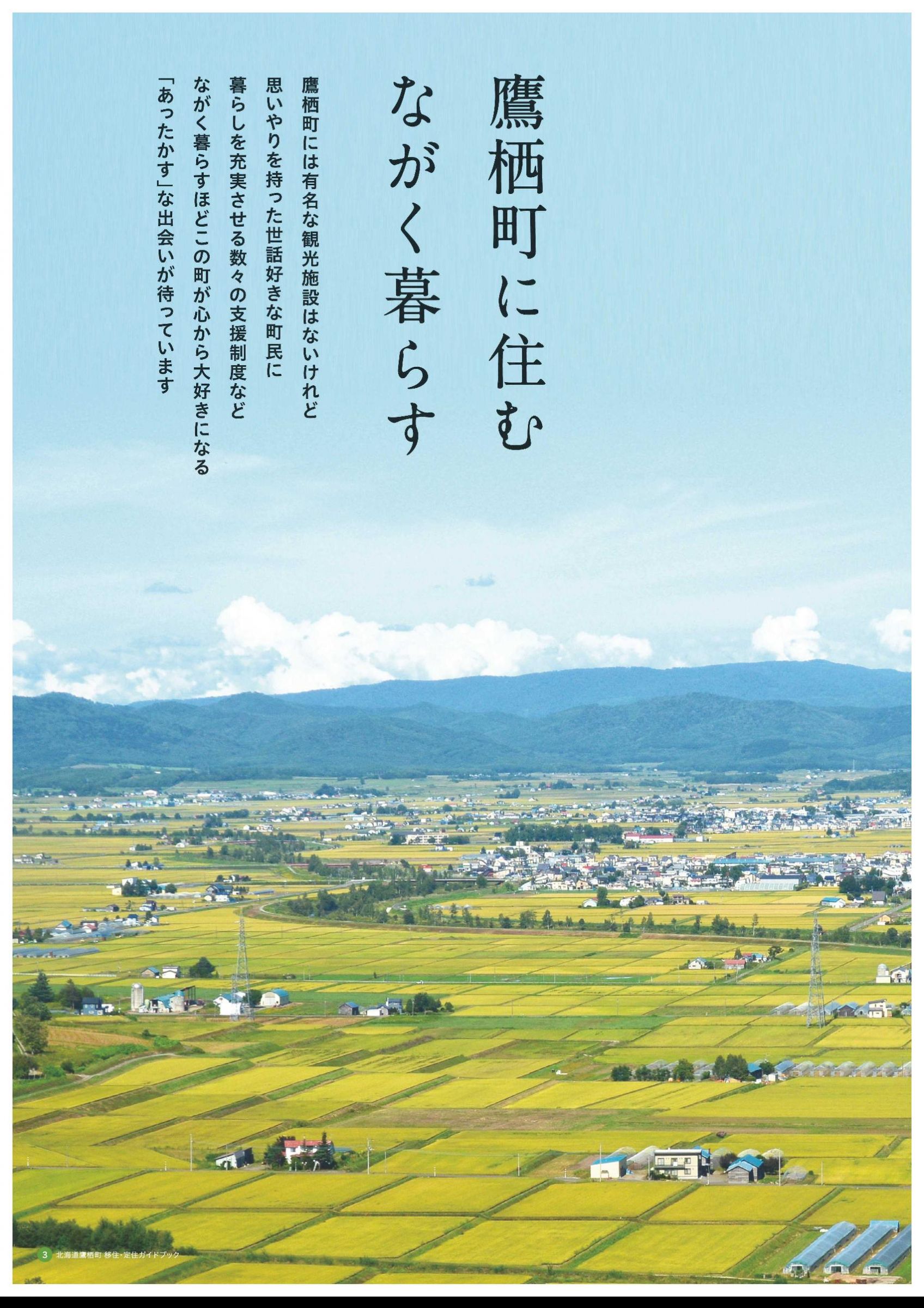 ウェブブック - 移住定住ガイドブック