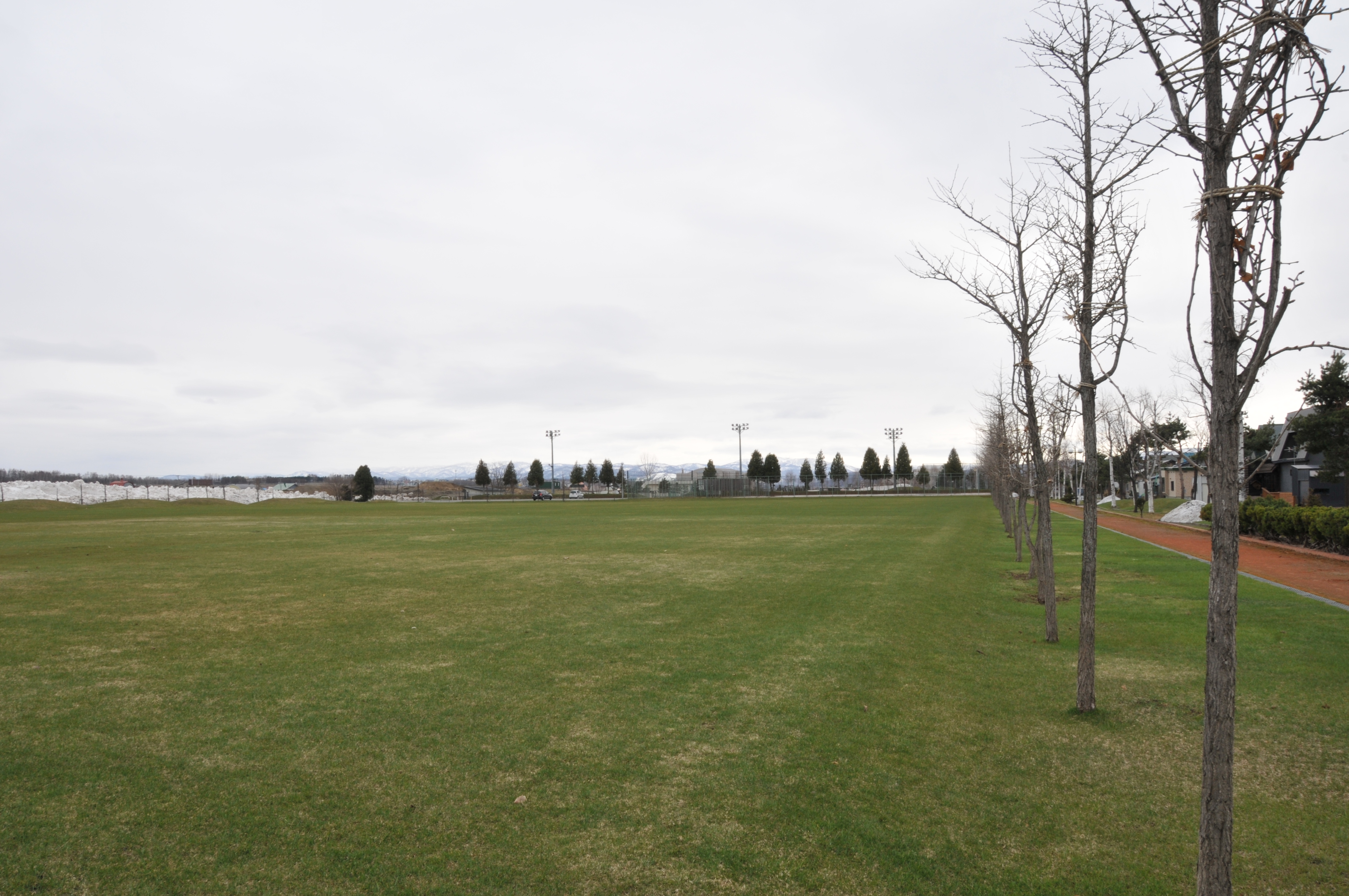 鷹栖多目的広場の画像2