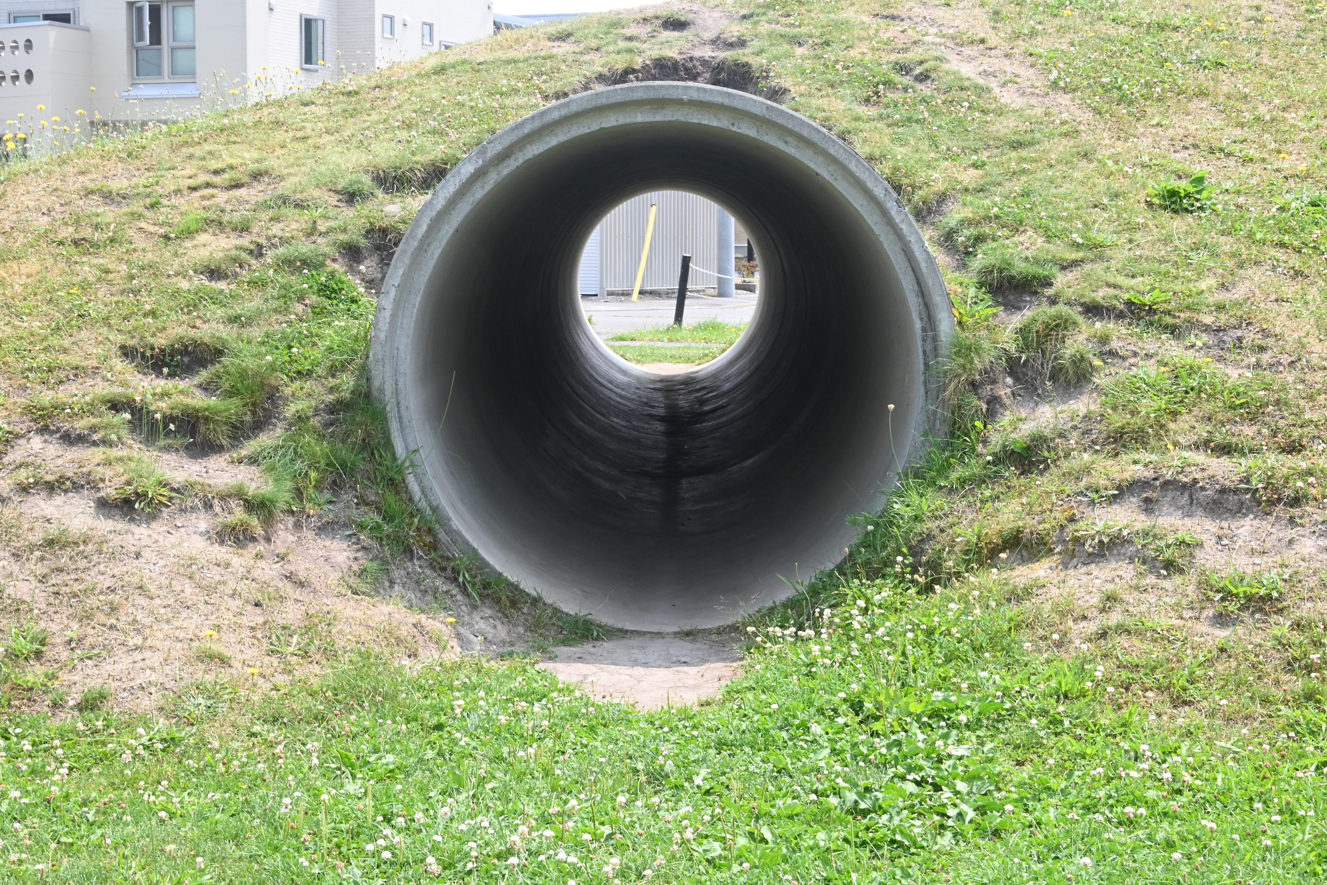 やすらぎ公園・どかんの画像