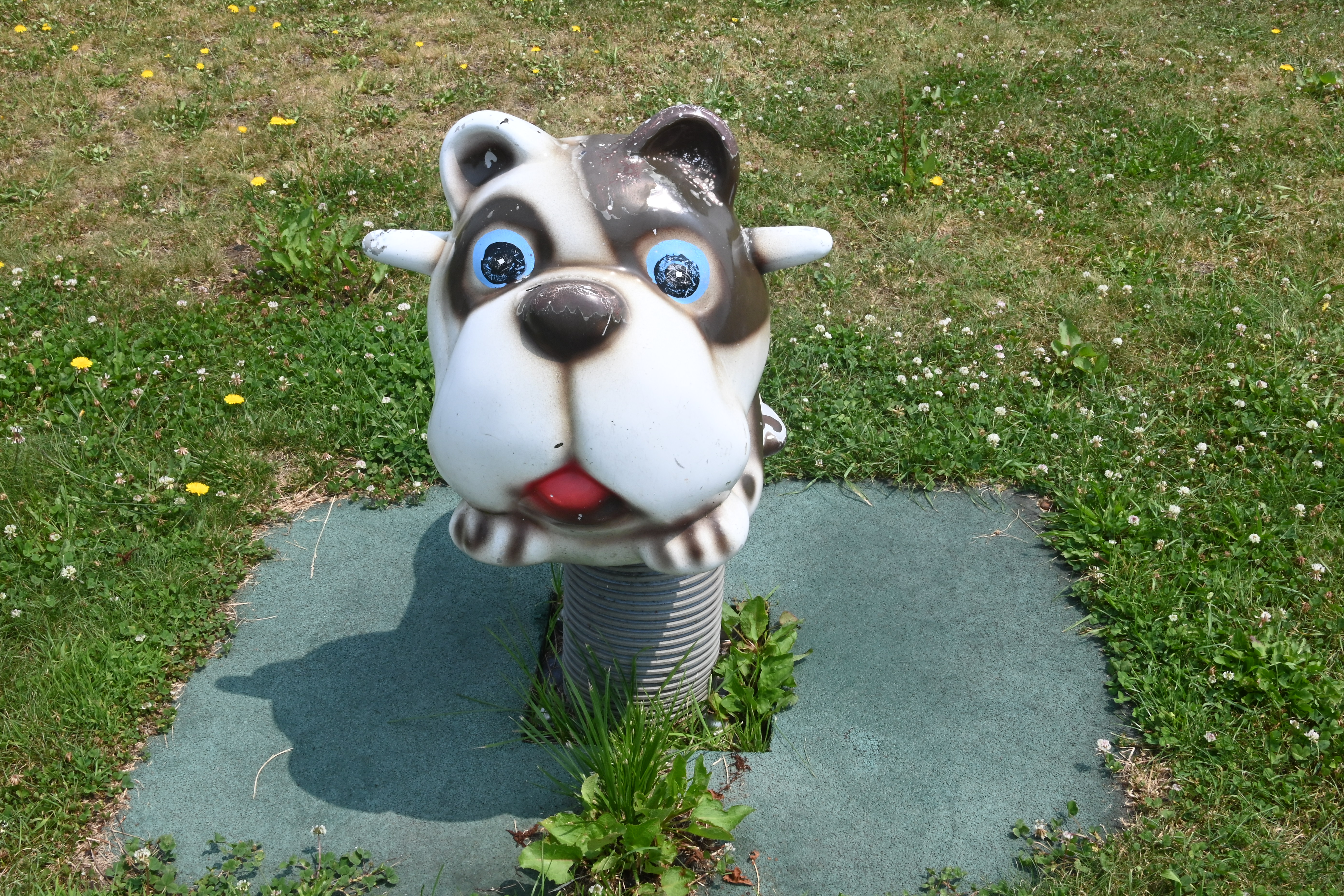 やすらぎ公園・スプリングの画像2