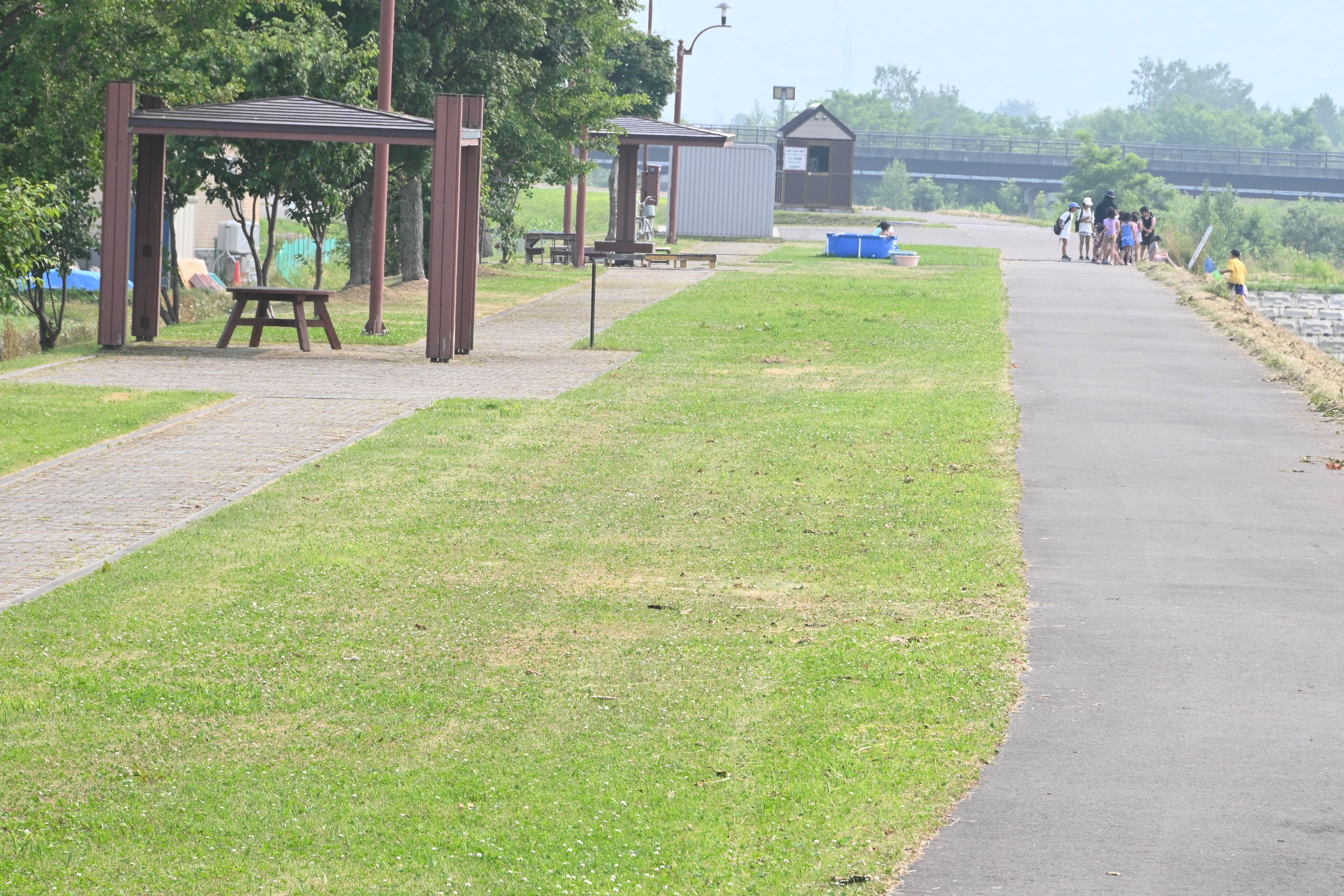 桜づつみ公園の画像2