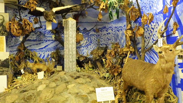 館内のご紹介の画像3