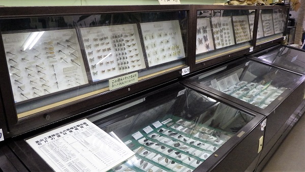 館内のご紹介の画像6