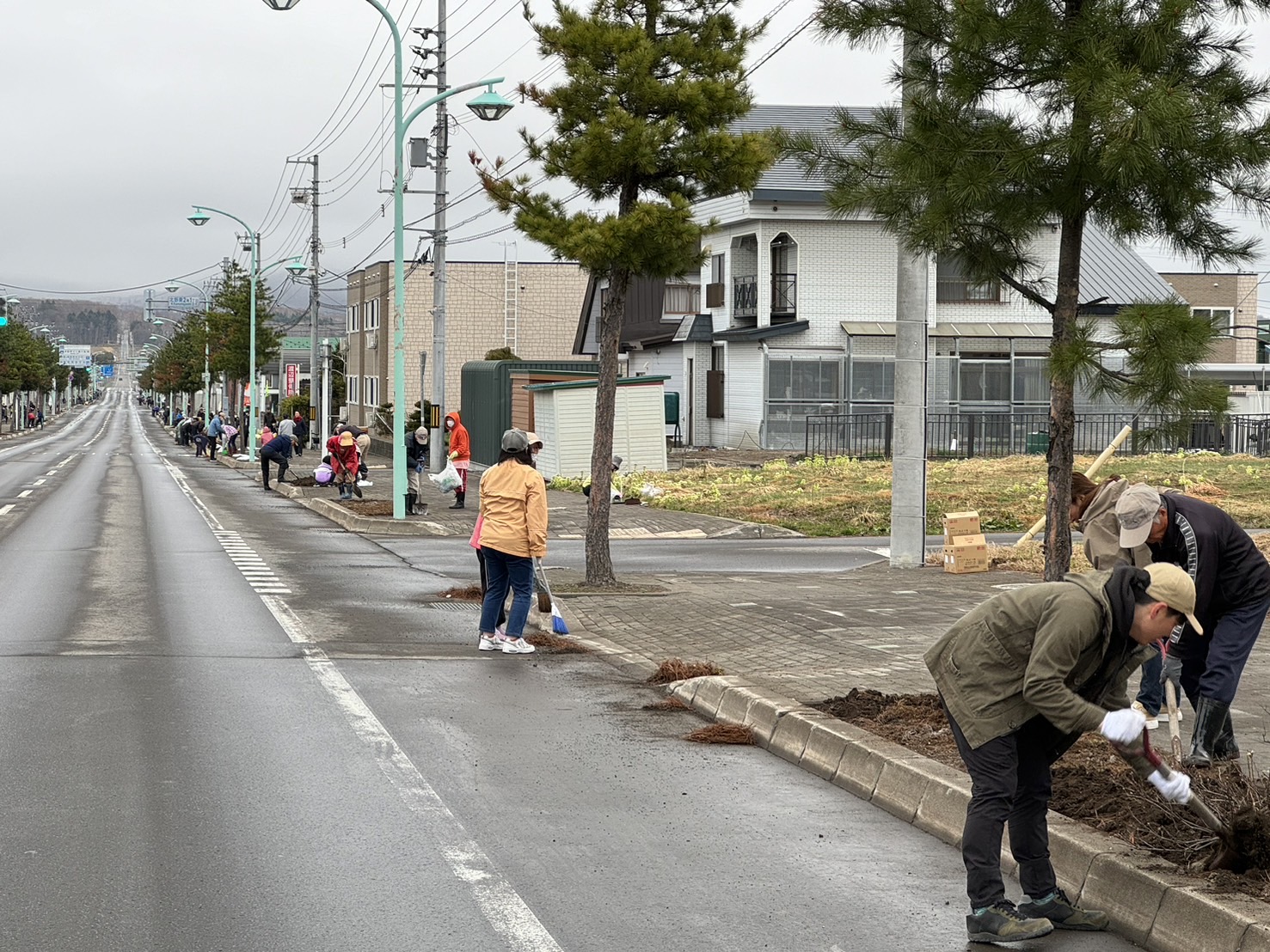 ​4月21日　北野東町内会　クリーン作戦・花壇整地作業の画像2
