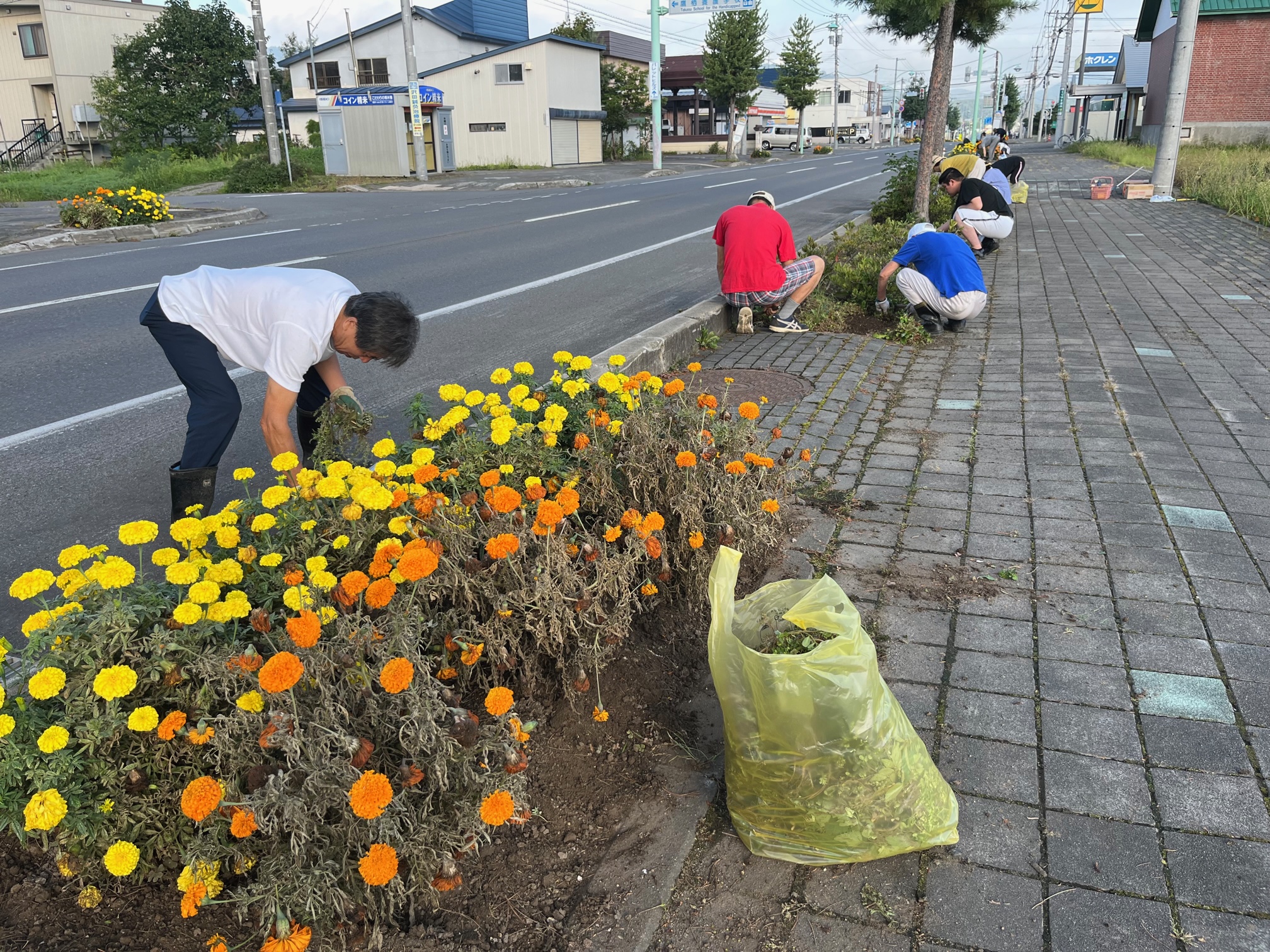 8月27日　北野東町内会　道路愛護作業・花壇草取り作業の画像1