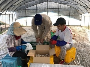 受け入れ先での様子などの画像2