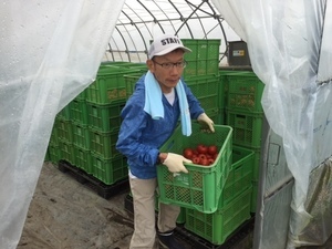 受け入れ先での様子などの画像3