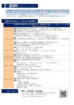 地域おこし協力隊チラシ裏