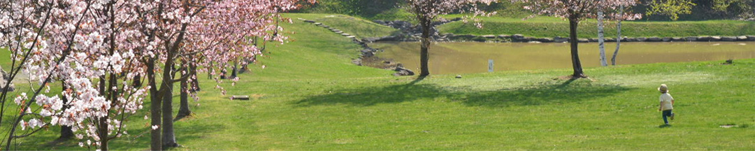 広報たかすのタイトル画像